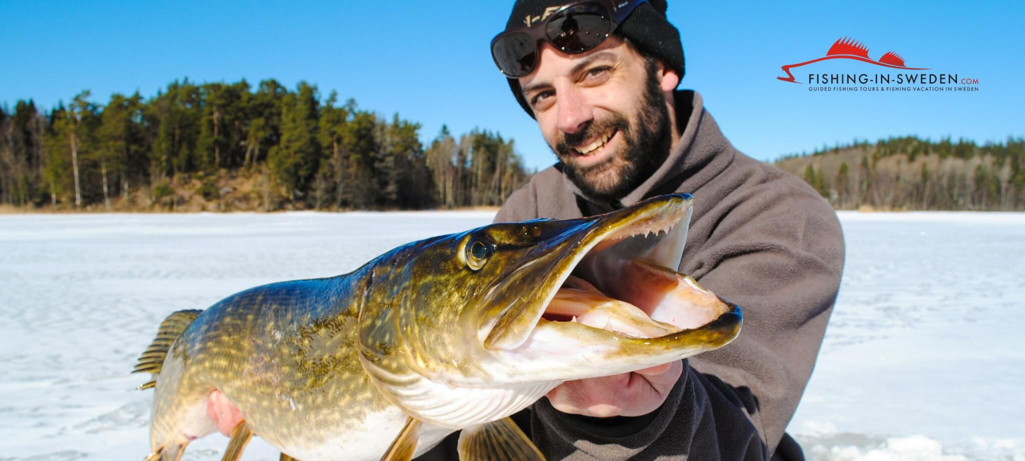 Ice Fishing in Sweden for Pike, Zander \u0026 Perch  FishinginSweden.com