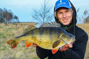 https://fishing-in-sweden.com/wp-content/uploads/2014/02/perch-fishing-in-sweden-1.0-300x200.jpg