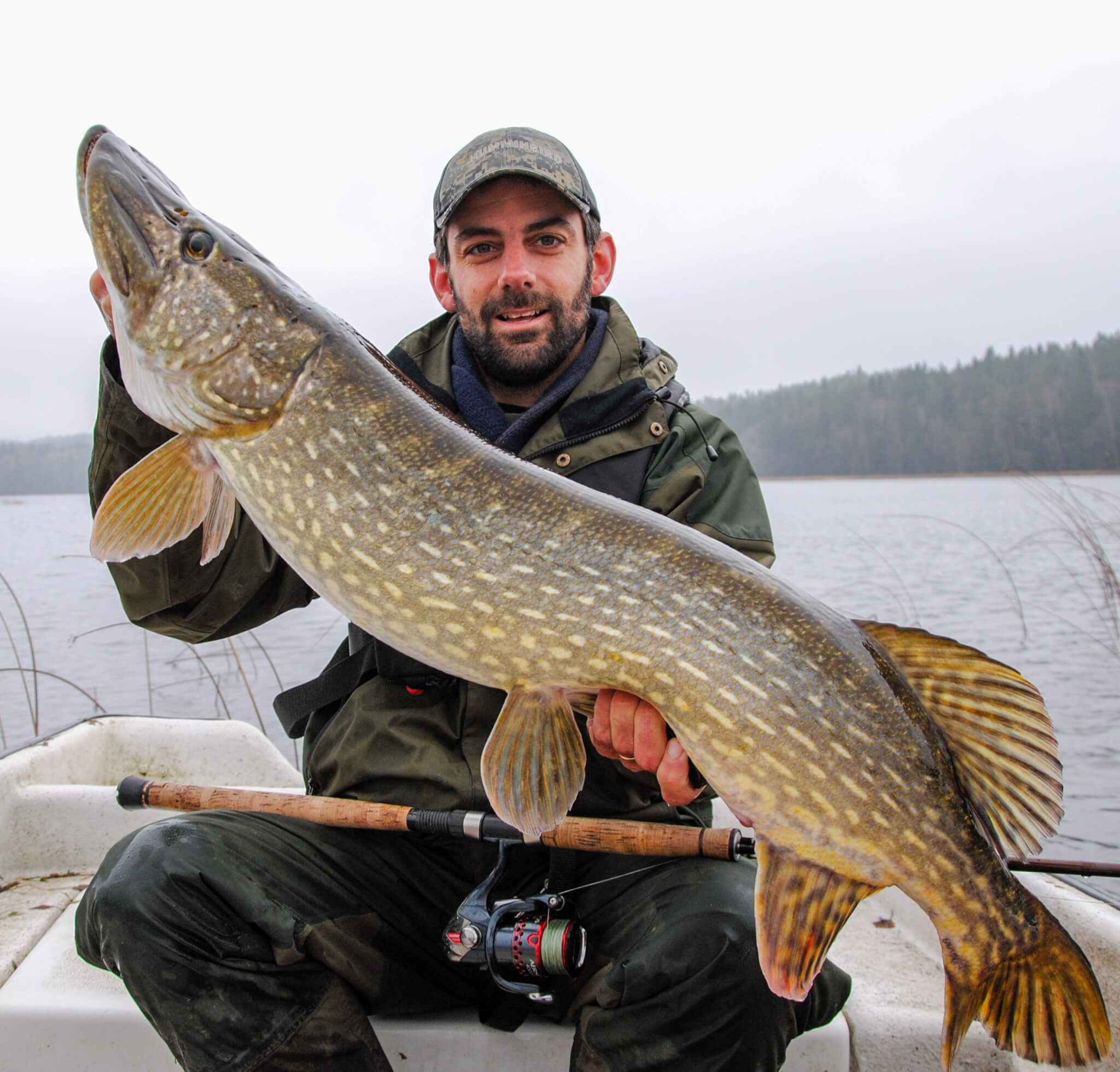 Sweden Pike Fishing - Fishing -in-Sweden.com