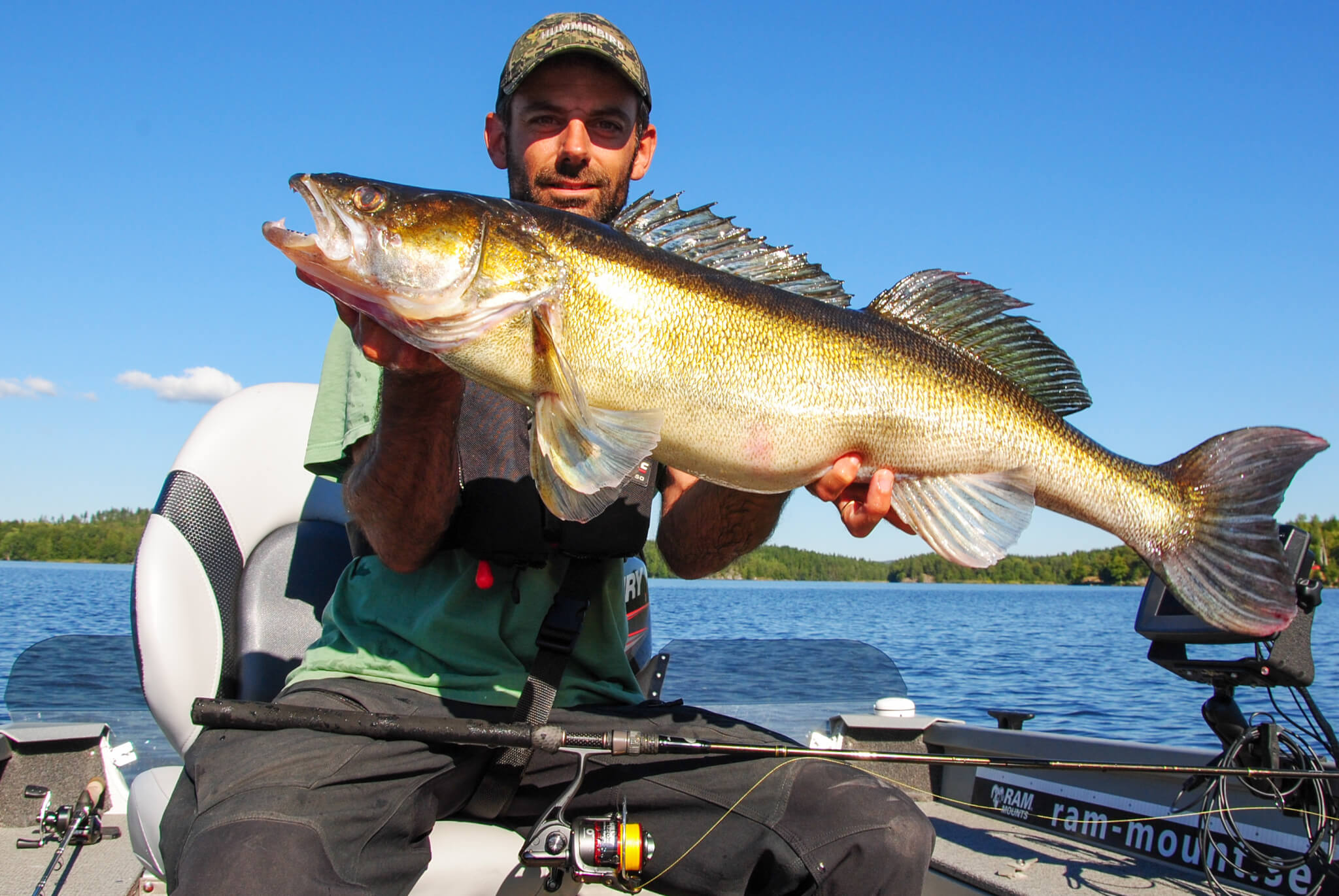 Zander Fishing Sweden  FishinginSweden.com