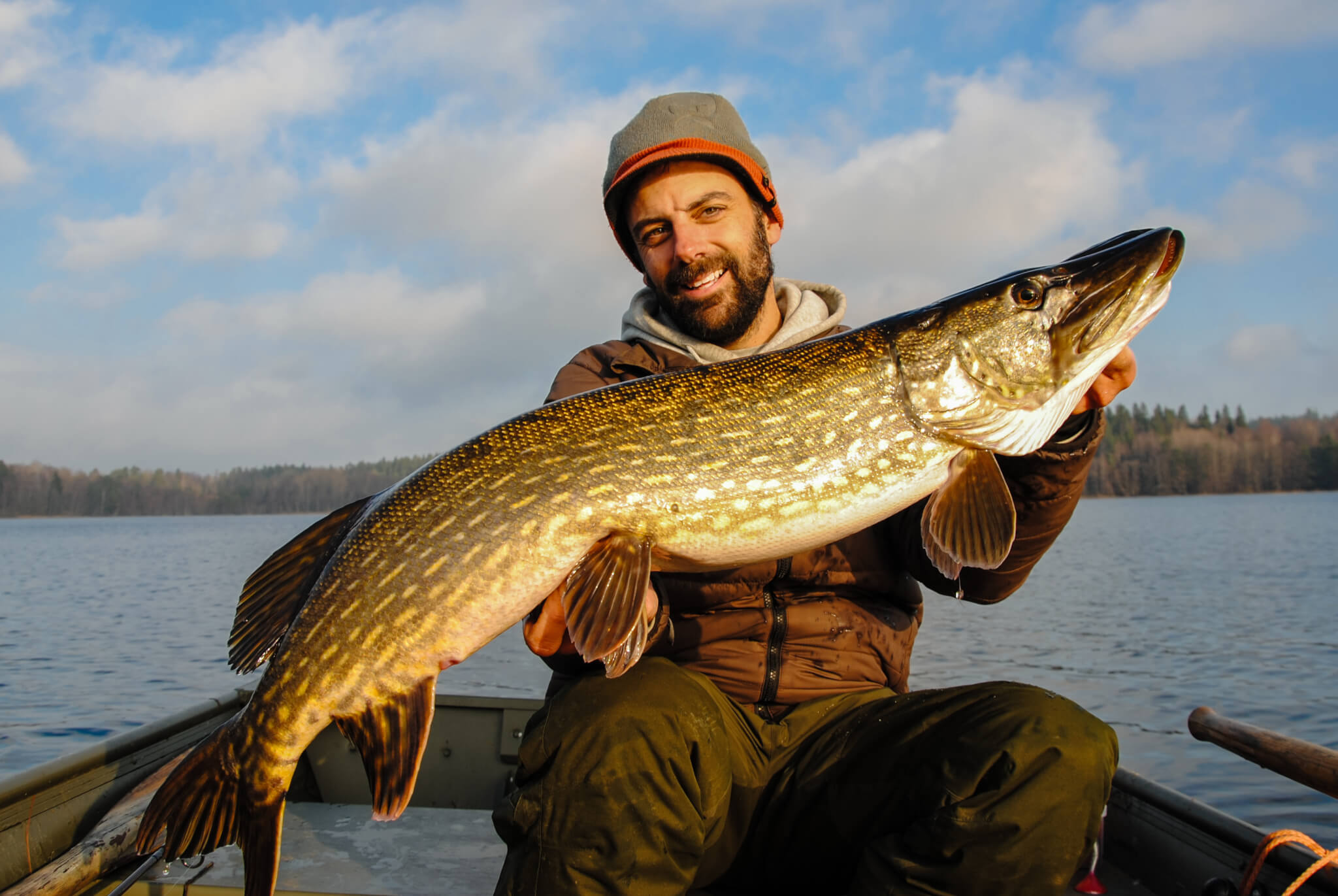  Pike Sweden - Fishing -in-Sweden.com